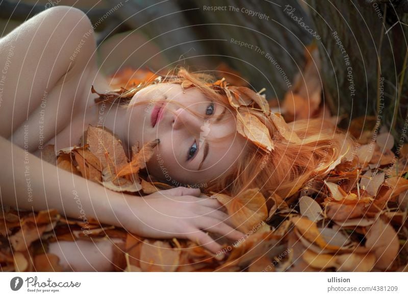 Schöne sexy schöne junge Mädchen auf goldenen Herbst Blätter liegen, mit bunten Herbstlaub bedeckt, im Park, mit Lächeln im Gesicht. Wald Frau Behaarung Blatt