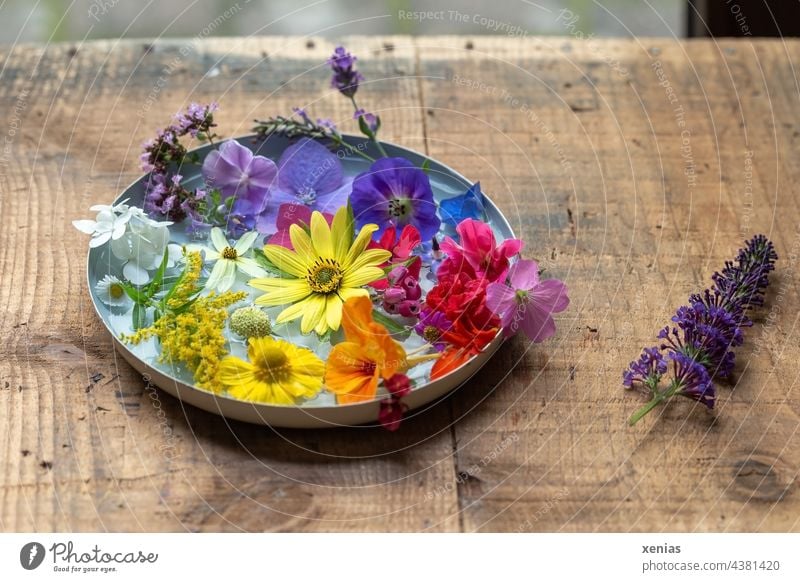 Es ist noch Sommer da - Duftende Schale mit frischen bunten Sommerblumen auf robustem Holztisch Blumenschale Blüten Sommergefühl sommerlich Sommerflieder