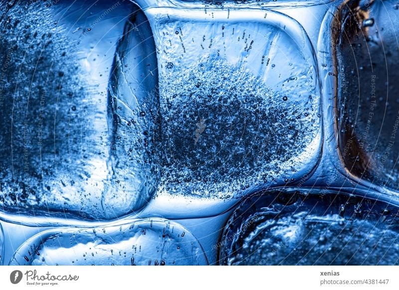 Makroaufnahme: Eiswürfel durchleuchtet mit blauem Licht gefroren tieggekühlt eisig Luftblasen abgerundet frieren Wasser kalt durchsichtig Winter xenias