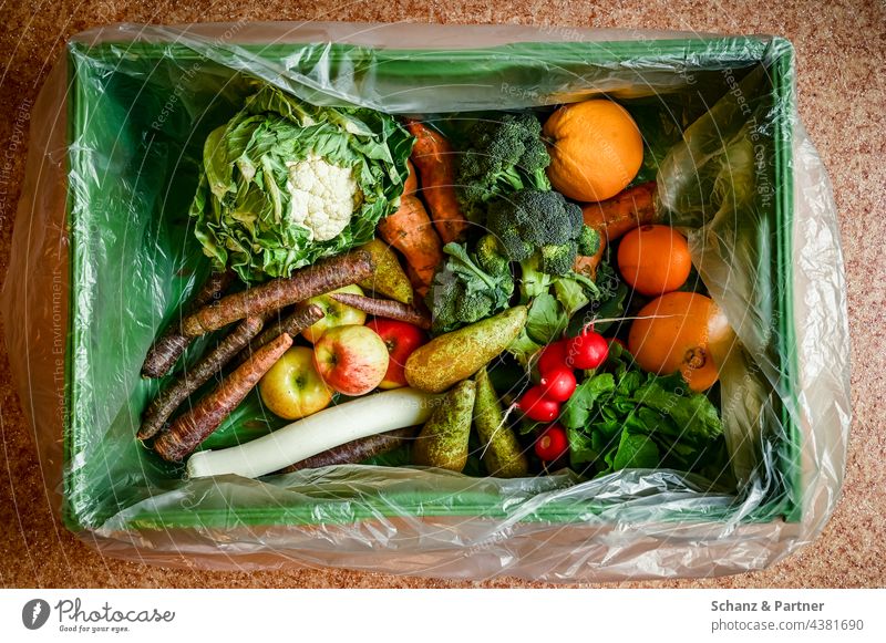 Biokiste mit Salat, Obst und Gemüse Vegetarisch vegan Ernährung Biolandwirtschaft vegetarisch frisch Lebensmittel gesund Bioprodukte Ernte Birnen Karo