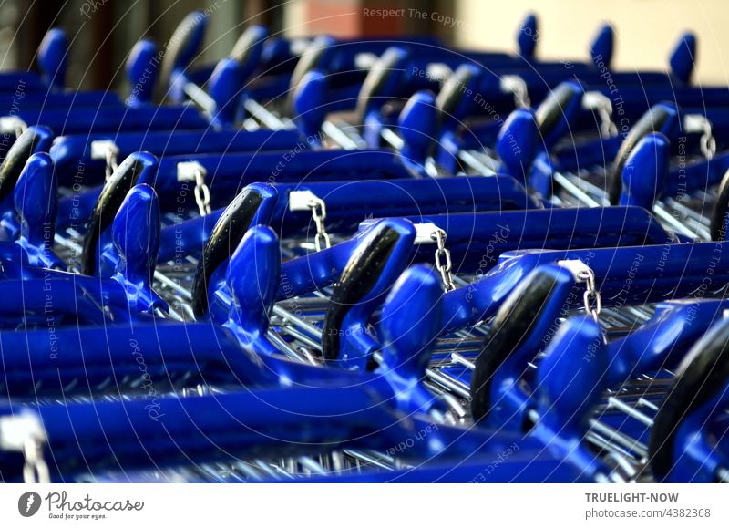 In Reih und Glied ordentlich zusammen gestellt und angekettet warten leere leuchtend blau-silberne Einkaufswagen vor dem Supermarkt auf ihren Einsatz System