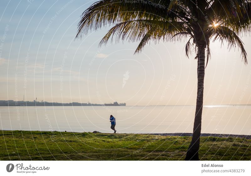 Gesundes Leben Stil vertreten einen Mann, der in den Strand laufen früh am Morgen, das Meer ist auf ruhig, die Strahlen der Sonne sind durch eine Palme Blätter im Vordergrund, die Atmosphäre ist golden und ruhig.