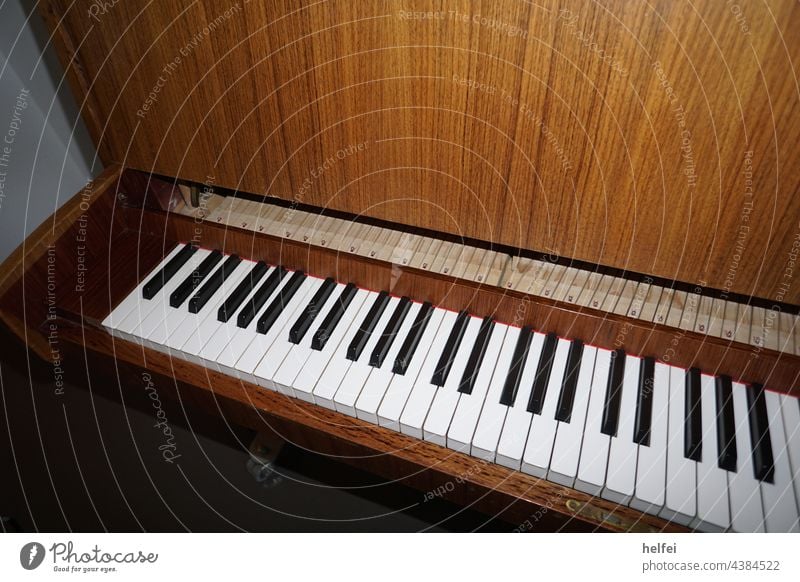 Klaviertasten einer billigen Orgel in Draufsicht Tasteninstrumente Musikinstrument schwarz Keyboard musizieren Detailaufnahme Klang klassisch klaviatur