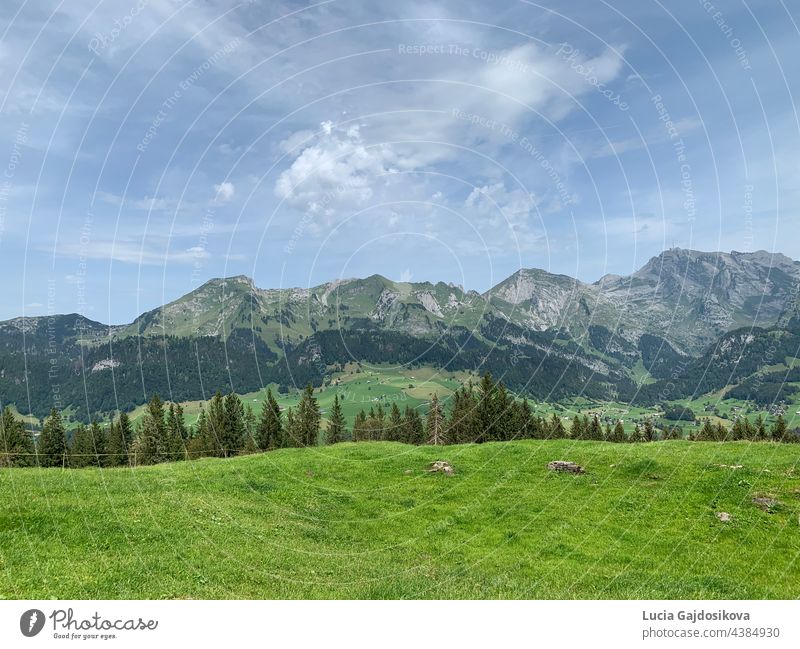 Alpweiden mit verstreuten Häusern und Bauernhöfen in der Schweiz. Im Hintergrund sind die Toggenburger Berge zu sehen. alpine Berge Wiesen grünes Gras