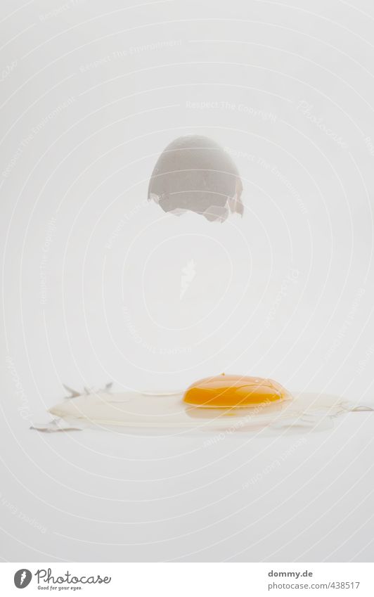eggtest Lebensmittel Ernährung Bioprodukte Zerstörung Ei Eierschale kaputt aufgeschlagen Aufschlag Spiegelei roh Eigelb Protein Klarheit deutlich hell Schweben