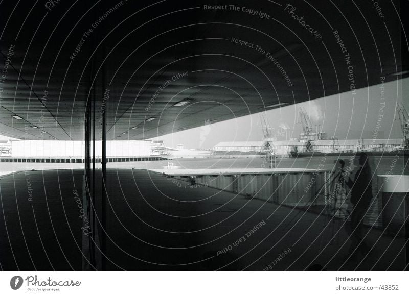 unfreiwillige spiegelung Reflexion & Spiegelung Fotograf Architektur Schwarzweißfoto modern Hafen