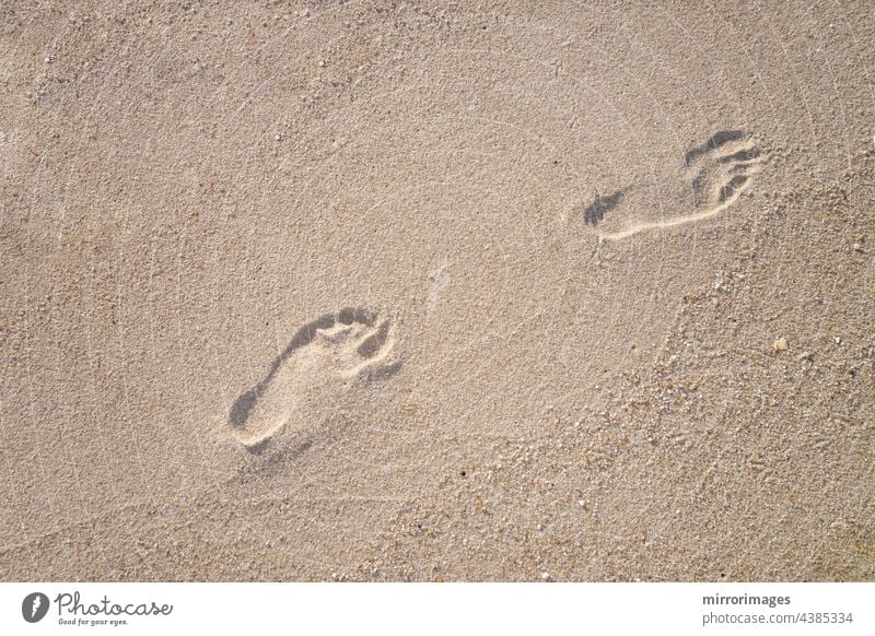 nackte Fußabdrücke im Sand allein Hintergrund Barfuß Strand Strandtreppen Küste Küstenlinie geprägt Fußspur Fußtritt Fußstapfen Freiheit Ferse Feiertag