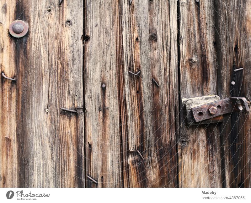 Krumme Nägel und rostige Beschläge in einer alten braunen Stalltür aus Holz auf einem Bauernhof in Rudersau bei Rottenbuch im Kreis Weilheim-Schongau in Oberbayern