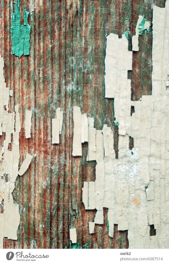 Abspaltung Farbe Holz Zahn der Zeit verfallen Spuren Farbrest abblättern Vergänglichkeit abstrakt Detailaufnahme Riss Nahaufnahme Gedeckte Farben Armut Desaster