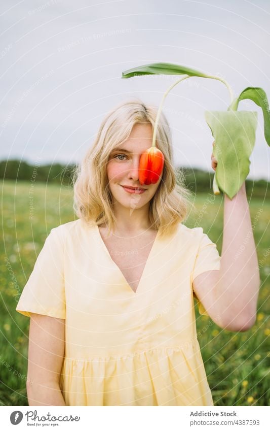 Lächelnde Frau, die ihr Auge mit einer roten Tulpe auf einer Wiese bedeckt Auge abdecken Blume Feld Frühling Angebot Inhalt geblümt Blüte Blütezeit frisch