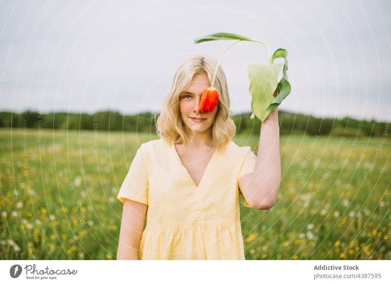 Lächelnde Frau, die ihr Auge mit einer roten Tulpe auf einer Wiese bedeckt Auge abdecken Blume Feld Frühling Angebot Inhalt geblümt Blüte Blütezeit frisch