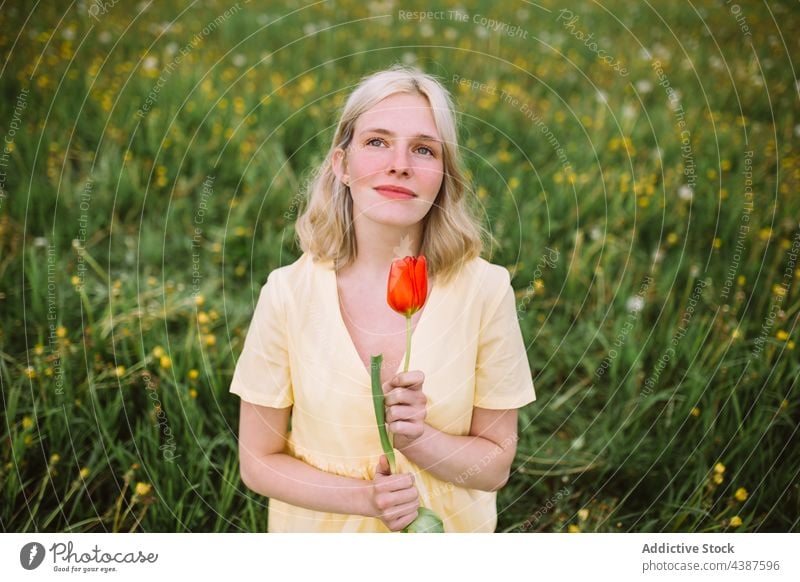 Lächelnde Frau mit roter Tulpe auf einer Wiese Blume Feld Frühling Angebot Inhalt geblümt Blüte Blütezeit frisch natürlich Sommer Windstille filigran Natur