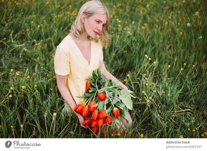 Sanfte Frau mit einem Strauß roter Tulpen auf einem Feld Blume Blumenstrauß Sommer Haufen Wiese Angebot Lächeln Inhalt Blütezeit romantisch jung Natur