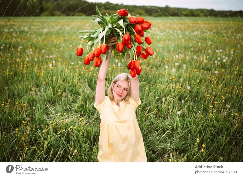 Zarte Frau mit Tulpenstrauß im Feld Blume Blumenstrauß Haufen geblümt Wiese Sommer Lächeln Glück Blütezeit Natur frisch Angebot rot Farbe froh Freude genießen