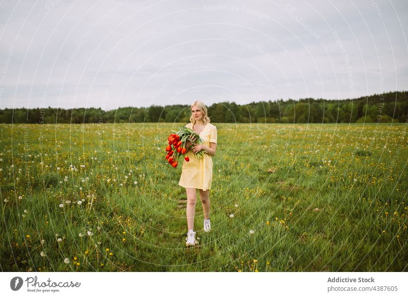 Sanfte Frau mit einem Strauß roter Tulpen auf einem Feld Blume Blumenstrauß Sommer Haufen Wiese Angebot Lächeln Inhalt Blütezeit romantisch jung Natur