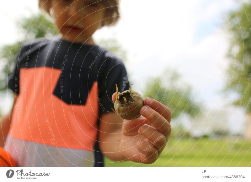Junge zeigt eine kleine Frucht in die Kamera Veganer Vegane Ernährung einladend Amuse-Gueule appetitlich positiv fettarm geschmackvoll Bild Tapete Völlerei