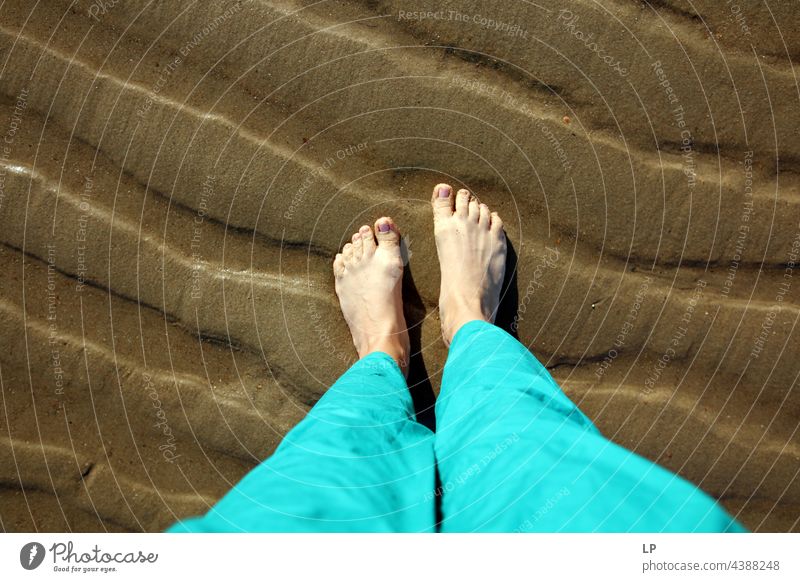 Füße auf sandigen Dünen Frau Zehen Natur Textur Küste reisen sonnig Erholung Hintergrund Fuß im Freien tropisch Feiertag Bräune sich[Akk] entspannen Ufer Beine