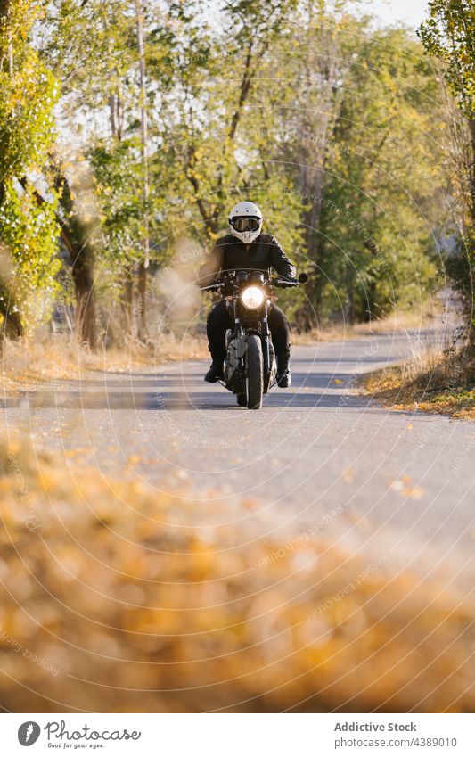 Biker fährt Motorrad auf dem Land Fahrrad Straße schnell Rad Laufwerk Mitfahrgelegenheit Abenteuer Natur aktiv Adrenalin Asphalt Herbst schwarz Unschärfe