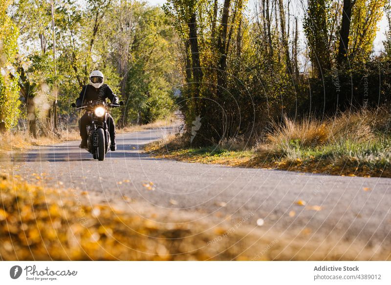 Biker fährt Motorrad auf dem Land Fahrrad Straße schnell Rad Laufwerk Mitfahrgelegenheit Abenteuer Natur aktiv Adrenalin Asphalt Herbst schwarz Unschärfe