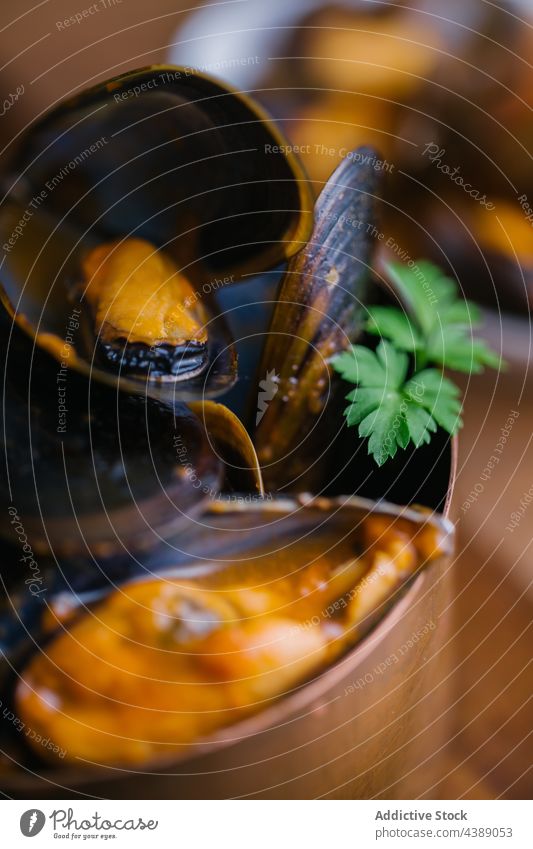 Gedämpfte Muscheln Kochtopf Küchenkräuter Essen zubereiten Weichtier Meeresfrüchte Mittagessen Feinschmecker Miesmuschel Lebensmittel Vorbereitung Speise