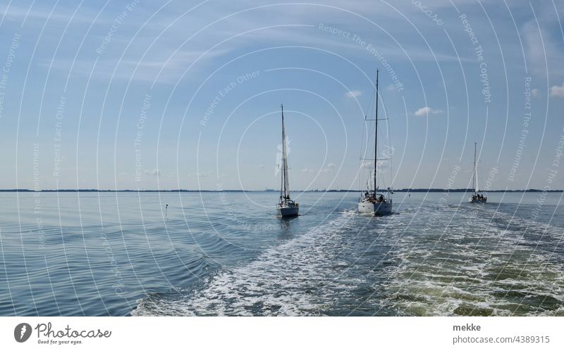 Windschattensegeln auf der Ostsee Segelboot Segeln Segelschiff Segeltörn Meer Wasser Sommer Wasserstraße Wassersport Wellen ruhig See Fähre