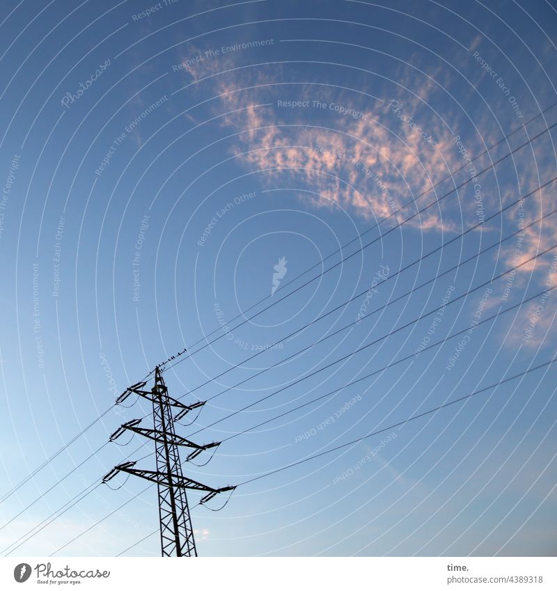 Lebenslinien #146 strommast Überlandleitung himmel wolken abend abendlicht ernergiewirtschaft Energieversorgung parallel lebenslinien kabel vögel sitzen pause