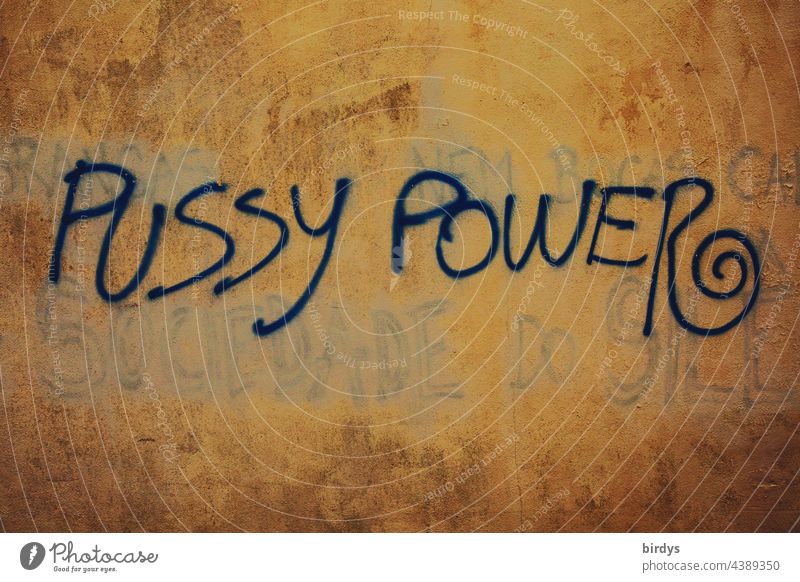 Pussy Power, Graffiti auf einer Hauswand Frauenpower feminismus Symbole & Metaphern Feminismus Emanzipation Gleichberechtigung Gesellschaft (Soziologie)