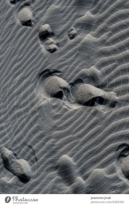 Keine Fußspuren im Sand Sandstrand Spuren Muster Stranddüne Urlaub Abstraktion Urlaubsort Beach Formation