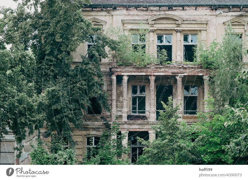 Verfallene überwucherte Villa  mit kaputten Fensterscheiben kaputte Fenster überwuchern Backsteinbau Klinkerfassade Wand trist Depression Baustelle