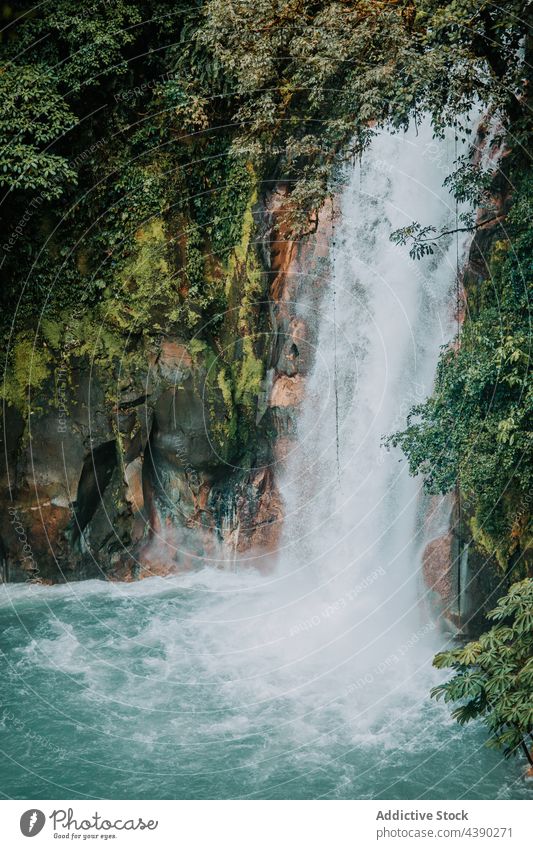 Wasserfall Bach im grünen Dschungel Teich Berge u. Gebirge Natur Landschaft Hochland Bewegung Energie Kraft dynamisch Kaskade fließen schäumen Reittier Rippeln