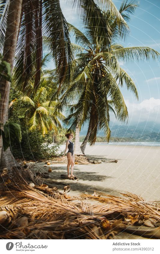 Junge Frau am tropischen Meeresstrand Strand Sand Handfläche Sommer Urlaub reisen Meeresufer Feiertag Paradies Natur genießen Seeküste MEER Küste exotisch