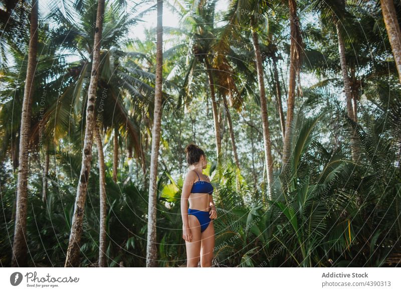 Sorglose Frau entspannt sich am tropischen Strand Handfläche Bikini Sommer sich[Akk] entspannen friedlich Natur Urlaub reisen Feiertag Paradies genießen jung