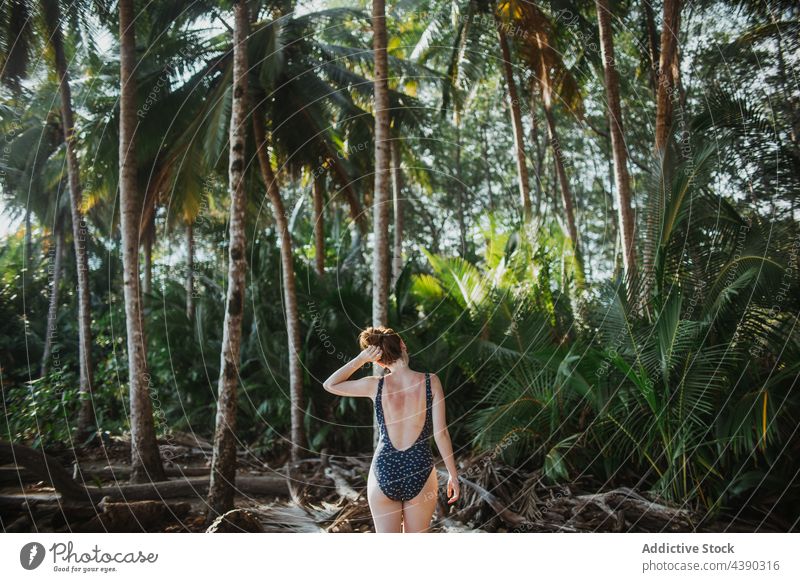 Anonyme sorglose Frau entspannt sich am tropischen Strand Handfläche Bikini Sommer sich[Akk] entspannen friedlich Natur Urlaub reisen Feiertag Paradies genießen