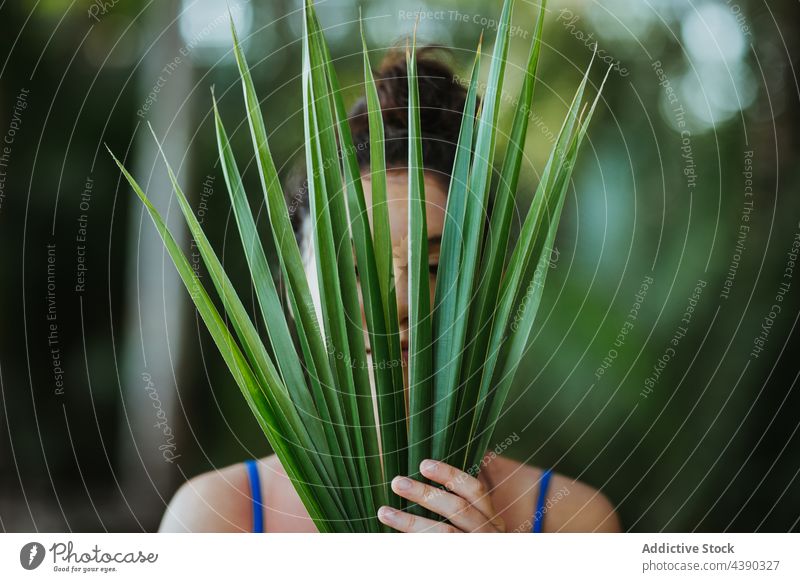 Frau bedeckt Gesicht mit Palmblättern Handfläche Blatt Baum Deckblatt Sommer Pflanze Natur grün tropisch guanacaste uvita Costa Rica Gelassenheit friedlich