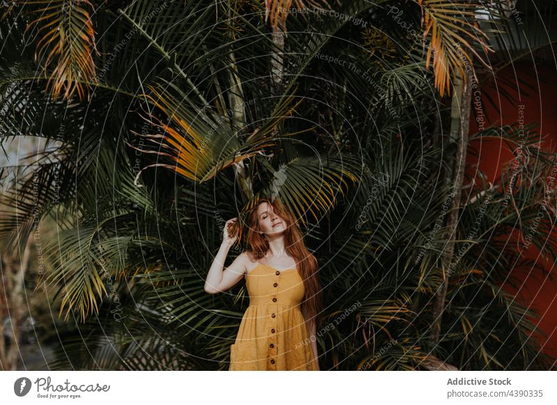 Zarte rothaarige Frau in der Nähe von Palmen im Garten Rotschopf tropisch Park exotisch Handfläche Baum Sommer Ingwer sorgenfrei Costa Rica verträumt Kleid
