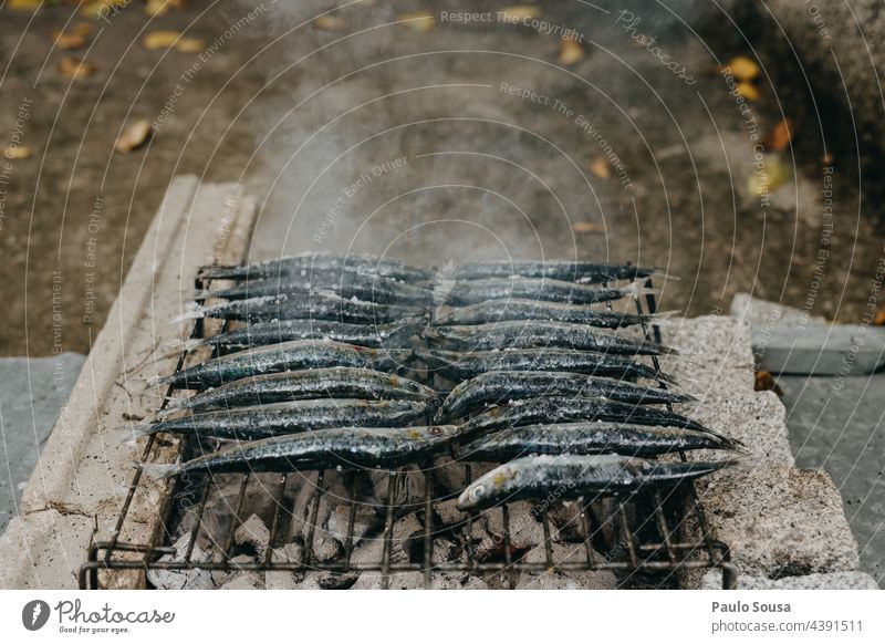 Sardinen grillen Portugal Fisch Grillrost gegrillt Grillen Grillsaison Sommer Omega-3-Fettsäure Grillplatz Feuer Farbfoto Lebensmittel Ernährung heiß Grillkohle