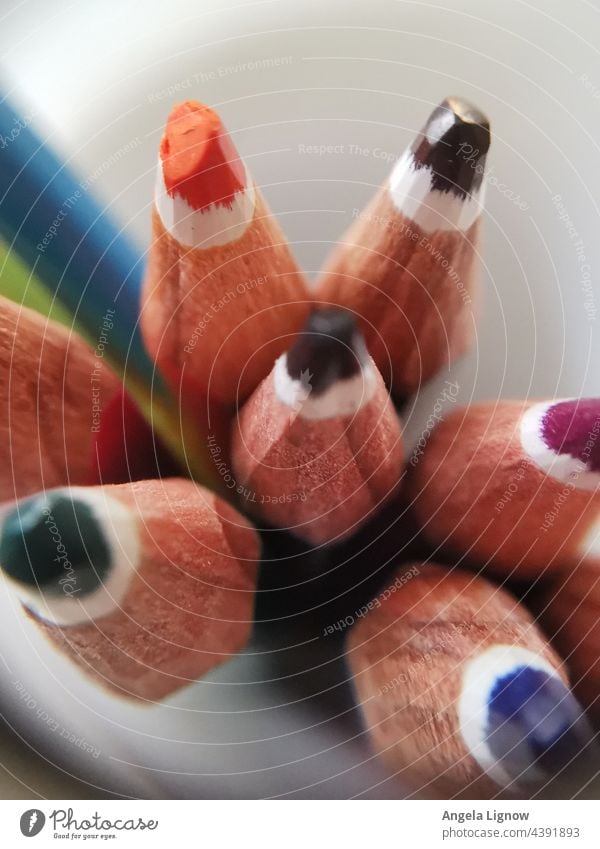 Buntstifte von oben gesehen Stifte Holz farbenfroh Farbe Stifte hintergrund Farben Farbenspiel holzstift Holzstifte Draufsicht
