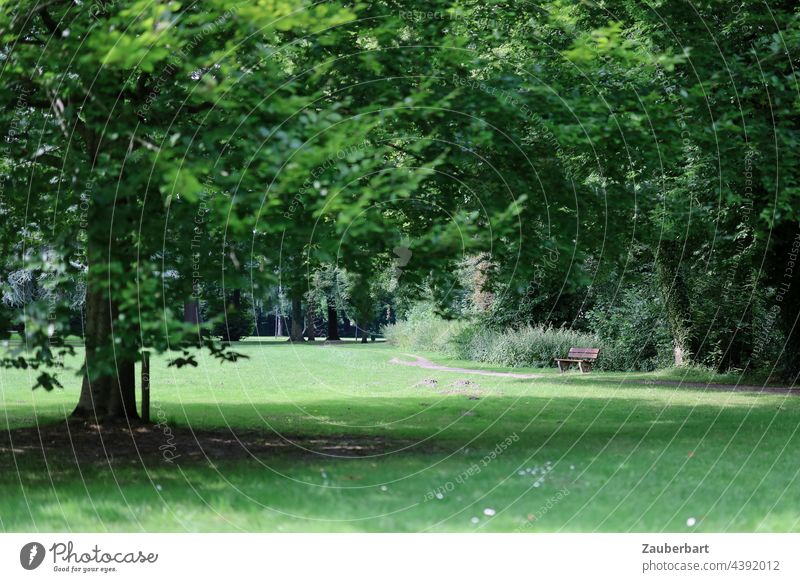 Park mit Wiese, Bäumen und Bank Stadtpark Parklandschaft Baum Schatten grün Erholung Ruhe Sommer Gras Landschaft Landschaftspflege Spaziergang Spazierengehen