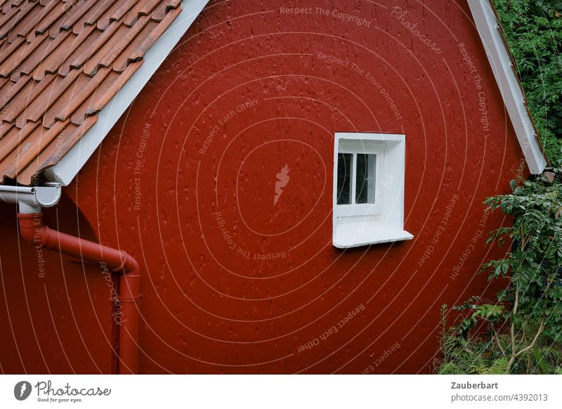Kleines rotes Haus mit weißem Fenster Fassade Wand Außenaufnahme Gebäude beschaulich klein Kleinstadt Dorf Ausgang eng Ausweg Ausblick Altstadt Fallrohr