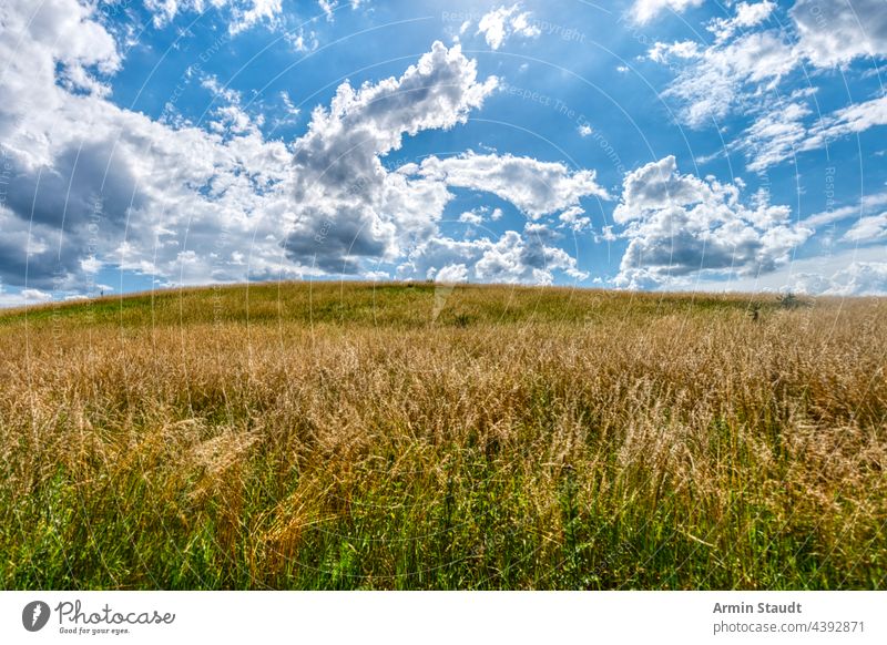 landschaft mit feldern, wiese und dramatischem himmel in mecklenburg vorpommern Mecklenburg Vorpommern Deutschland Himmel Landschaft Natur Feld ländlich Cloud