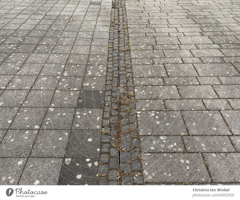Pflasterung auf einem tristen Schulhof Pflastersteine gepflasterte Fläche Bodenbelag grau Strukturen & Formen bodenversiegelung Regenwasser Linie Muster