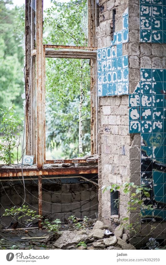 schöner wohnen (3). Ruine Architektur Haus Fenster alt Verfall kaputt Vergänglichkeit Zerstörung Bauwerk Vergangenheit Menschenleer Wandel & Veränderung