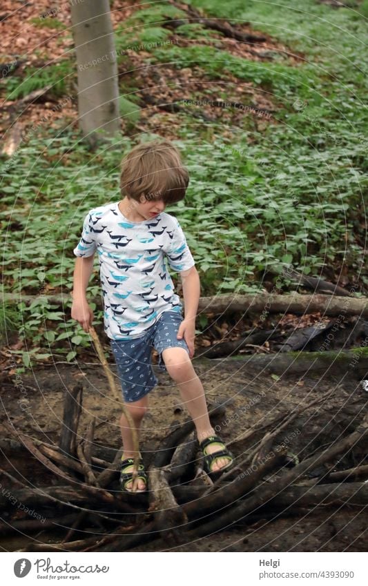 Junge spielt im Wald an einem Bach mit einem Übergang aus Ästen Kind Schulkind spielen draußen Feude Spaß Baum Abenteuer Spielen Kindheit Natur Freude