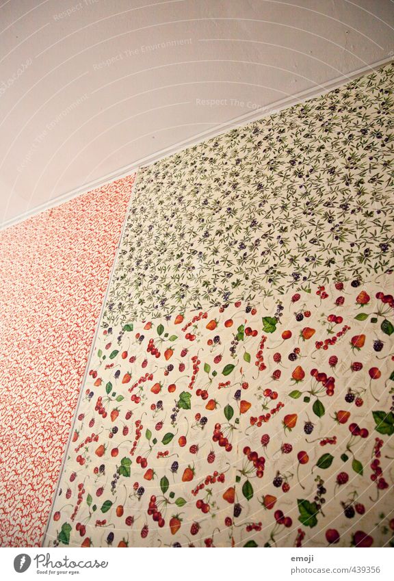 Tapeten-Mix Mauer Wand Fassade Zimmerdecke Zimmerecke Innenarchitektur Tapetenmuster Tapetenwechsel einzigartig Farbfoto Innenaufnahme Muster Menschenleer