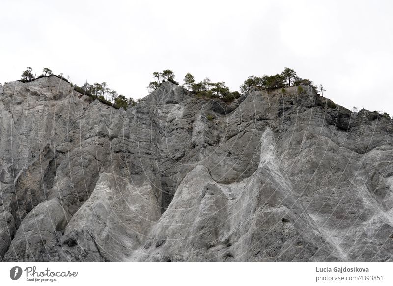 Die felsigen Wände der Ruinaulta-Schlucht in der Schweiz. Foto vom Grund der Schlucht, das ihre Struktur zeigt. Einige Nadelbäume stehen oben auf dem Felsen. Es gibt viel Platz zum Kopieren.