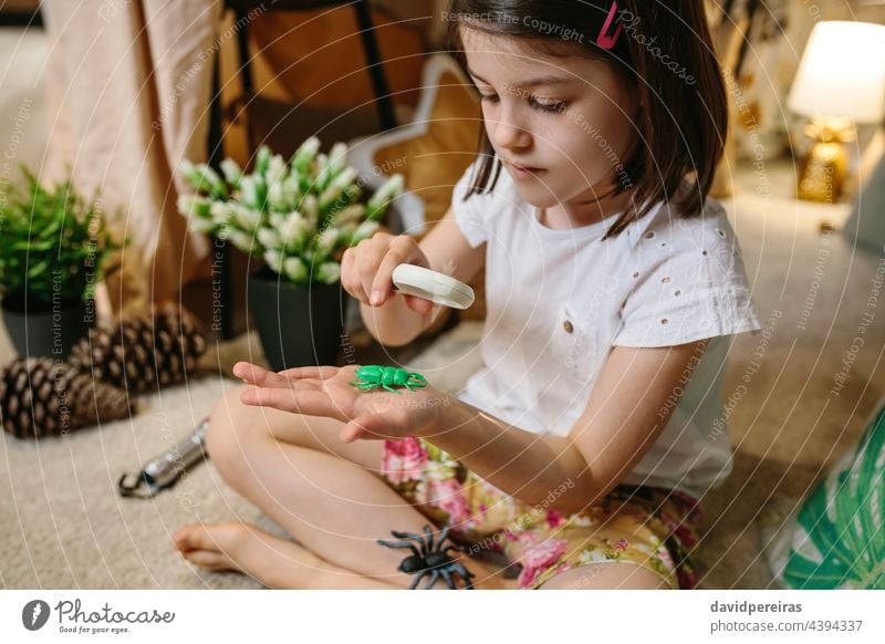 Mädchen spielen beobachten Spielzeug Käfer mit einer Lupe bezaubernd beobachtend Beteiligung Hand Nahaufnahme Wanze Zelt Tipi Sitzen Kind Bildung Untersuchen