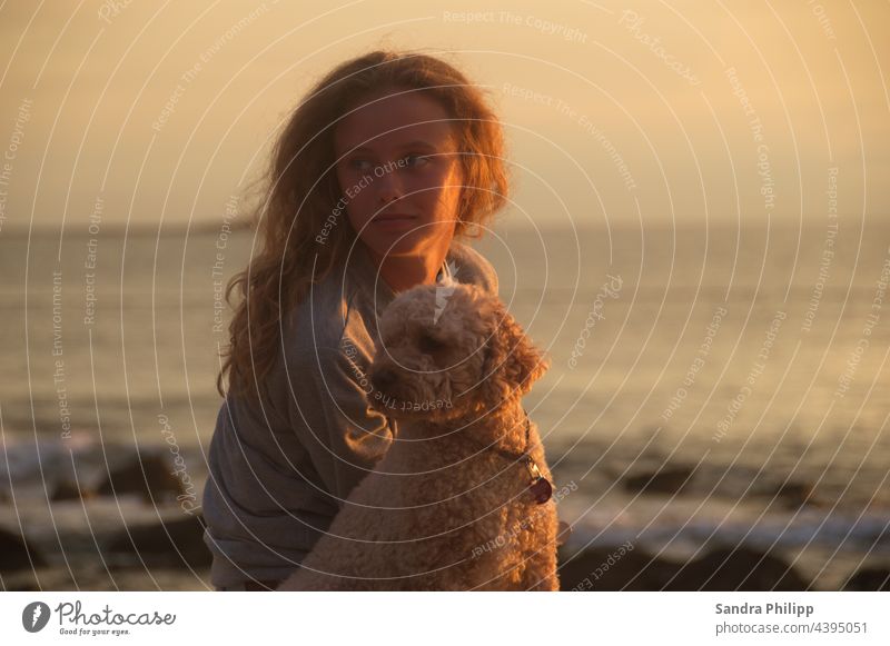 Mädchen mit Hund sitzen am Strand und schauen in dieselbe Richtung Wasser Sonnenuntergang Sand Küste Außenaufnahme Natur Tier Abend Licht