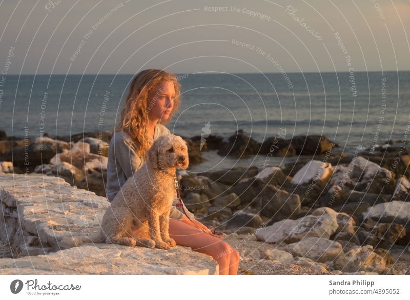 ein Mädchen und ein Hund sitzen am Strand und schauen in den Sonnenuntergang Wasser verträumt Abenddämmerung Himmel Küste Natur Landschaft Licht Sand