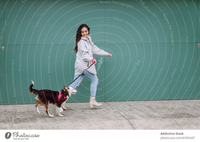 Frau läuft mit Hund die Straße entlang laufen Spaß haben Aktivität Zusammensein Border Collie Großstadt schlendern Haustier Tier Eckzahn Besitzer anleinen