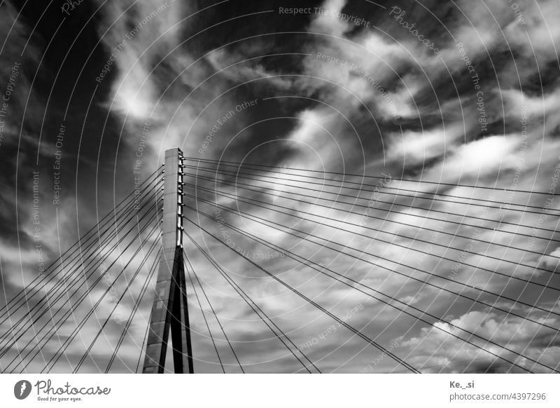 Blick Richtung Himmel - von einem Schaufelraddampfer auf der Elbe Richtung Brücke in Niederwartha/Cossebaude - längste Schrägseilbrücke Deutschlands in Verbundbauweise